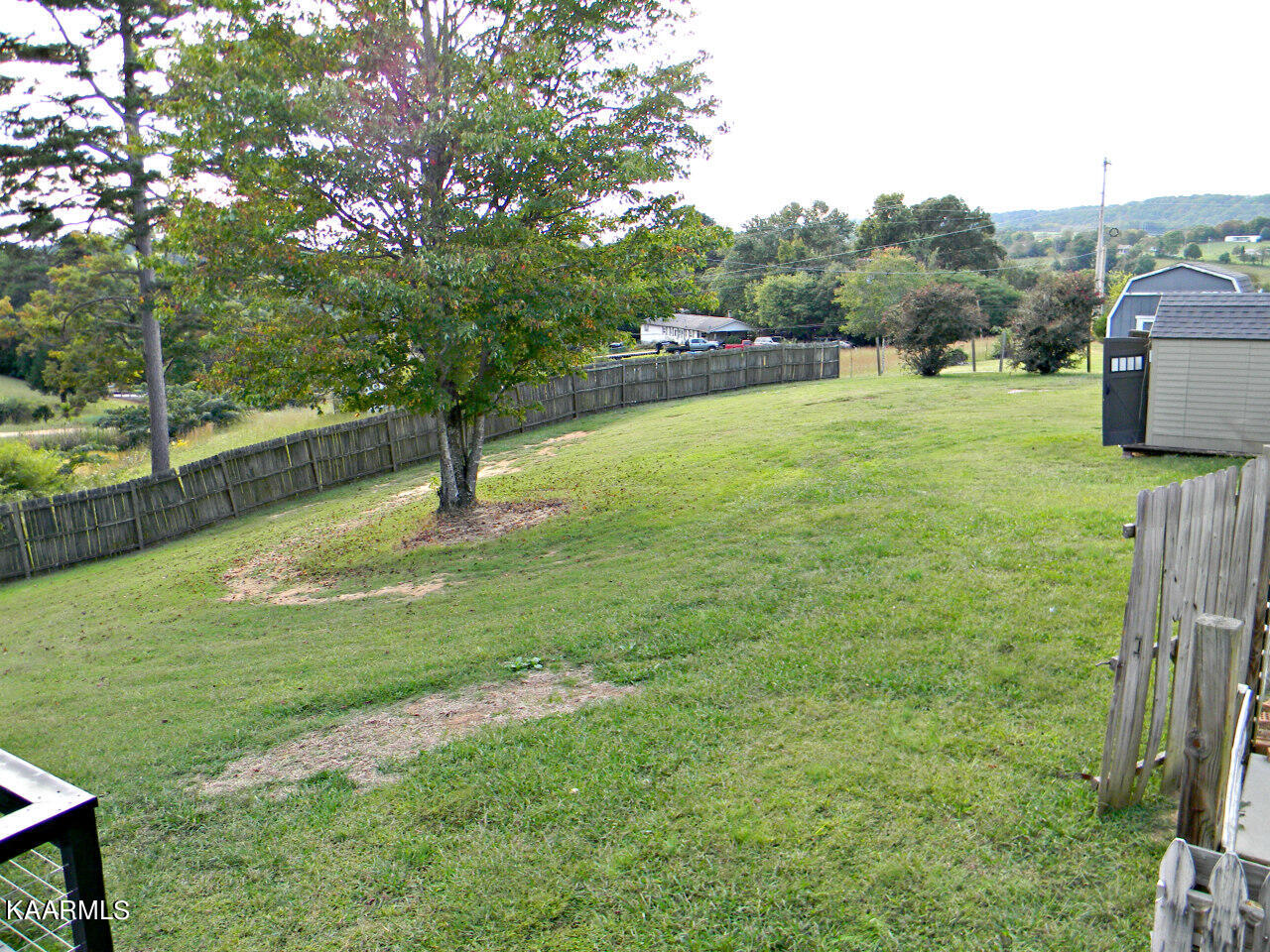 230 Elkins Ridge Road Bean Station, TN 37708 - Photo 45 of 48 DSCN4380