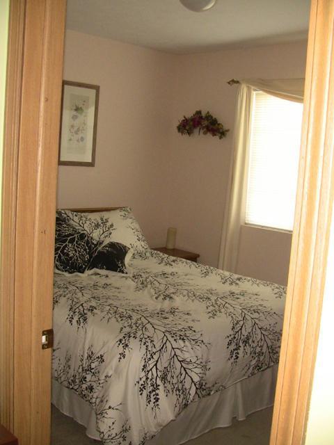 320 Pineview Street Belding, MI 48809 - Photo 5 of 11 Additional Photo