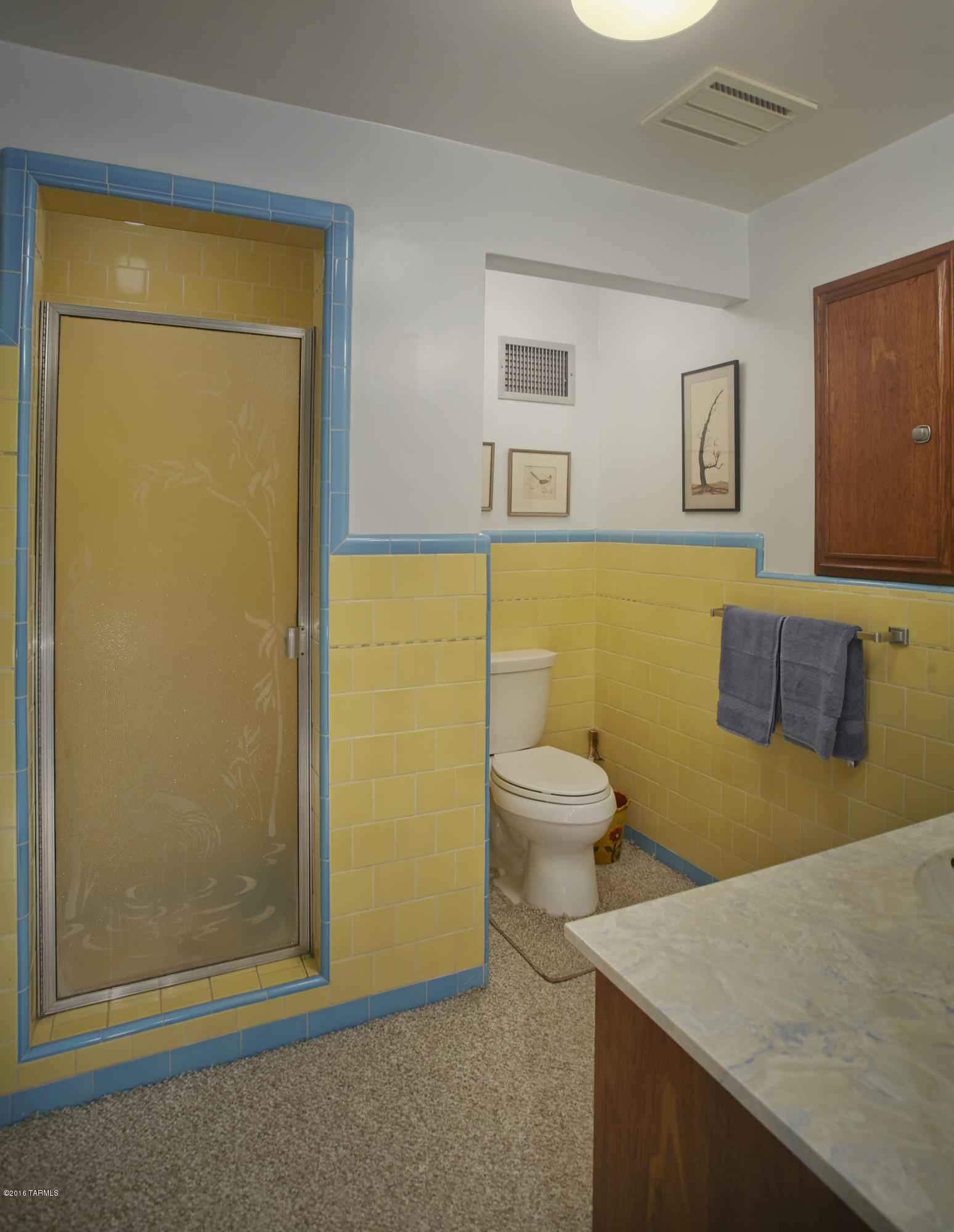 3333 North Webster Road Tucson, AZ 85750 - Photo 21 of 50 Gallery Image 21