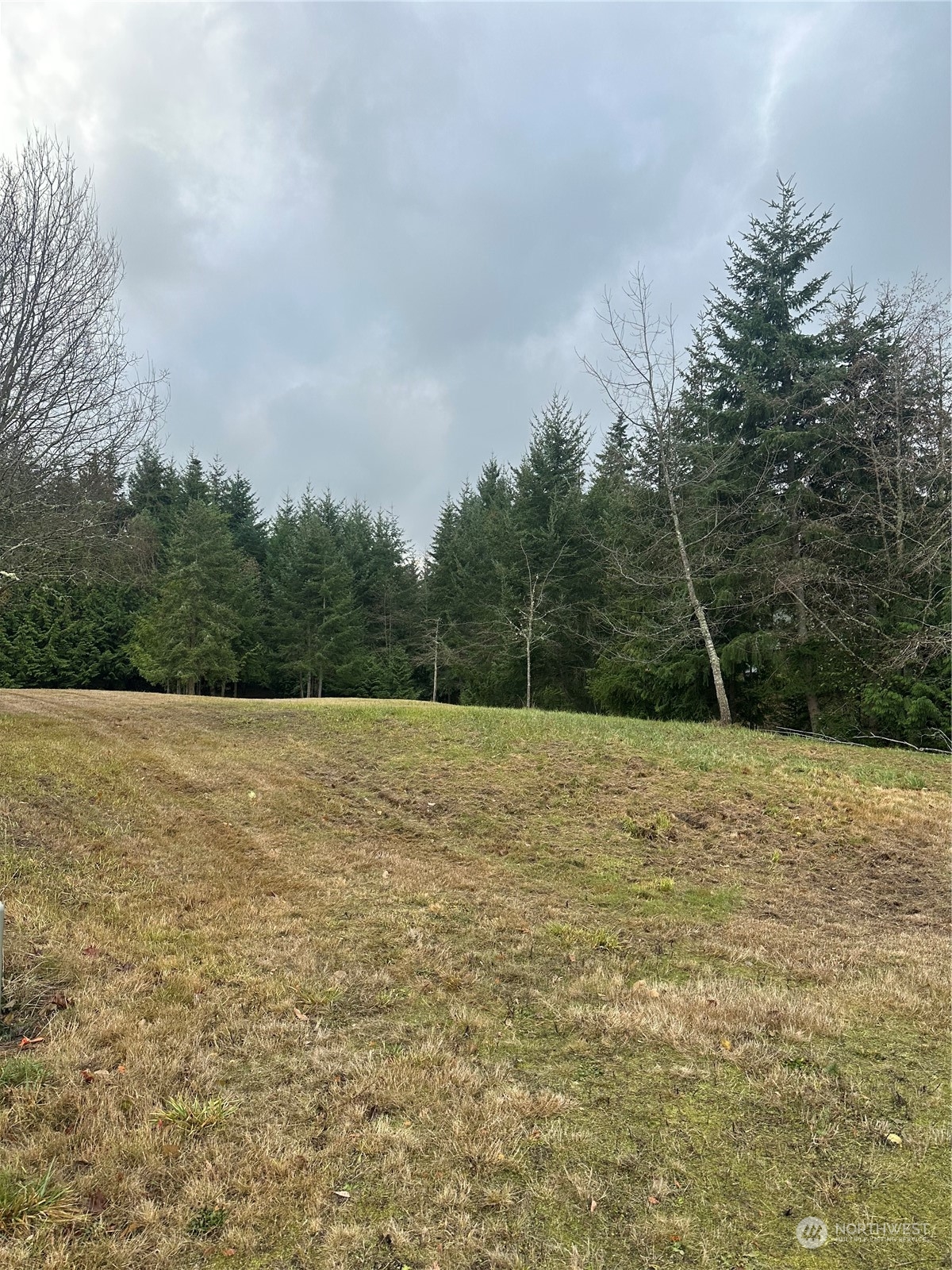 99999 Rhododendron Drive Sequim, WA 98382 - Photo 11 of 40 Gallery Image 11