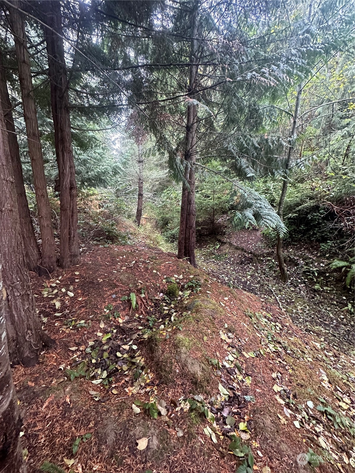 99999 Rhododendron Drive Sequim, WA 98382 - Photo 19 of 40 Gallery Image 19
