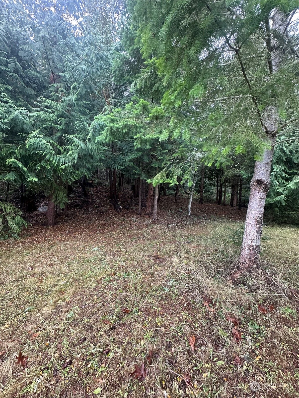 99999 Rhododendron Drive Sequim, WA 98382 - Photo 25 of 40 Gallery Image 25