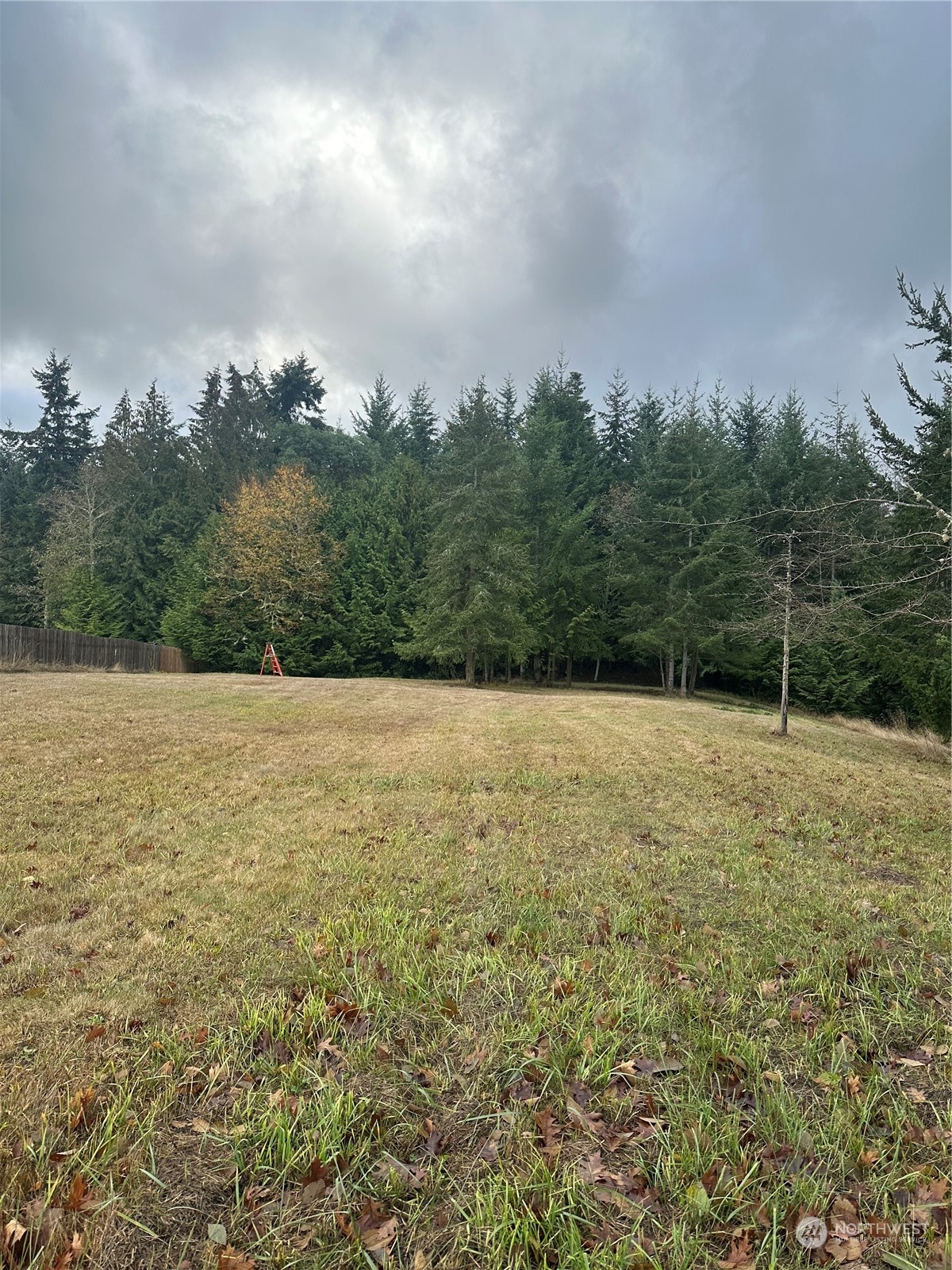99999 Rhododendron Drive Sequim, WA 98382 - Photo 3 of 40 Gallery Image 3