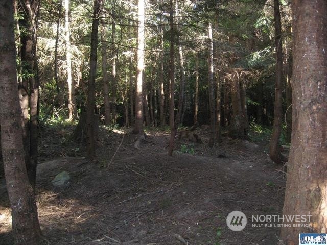 99999 Rhododendron Drive Sequim, WA 98382 - Photo 7 of 40 Gallery Image 7