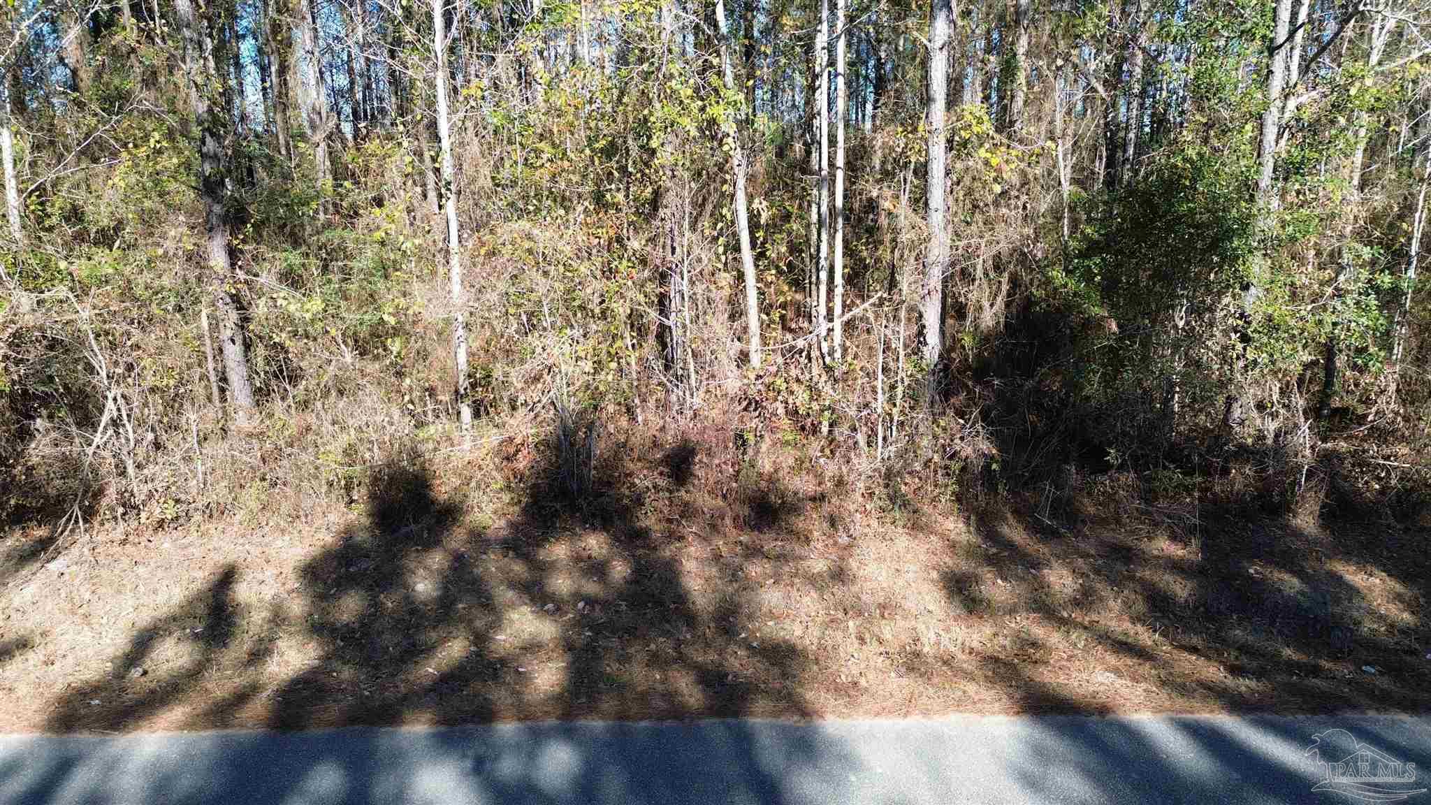 Lot 45 Mineral Springs Road Jay, FL 32565 - Photo 2 of 6