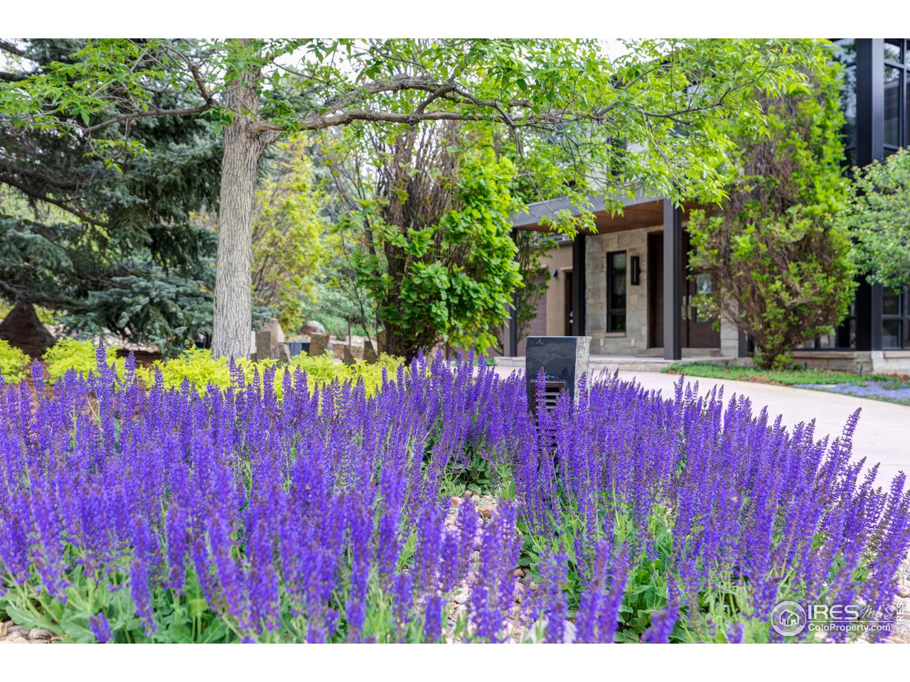3750 Spring Valley Road Boulder, CO 80304 - Photo 32 of 39 a view of a backyard with a large tree