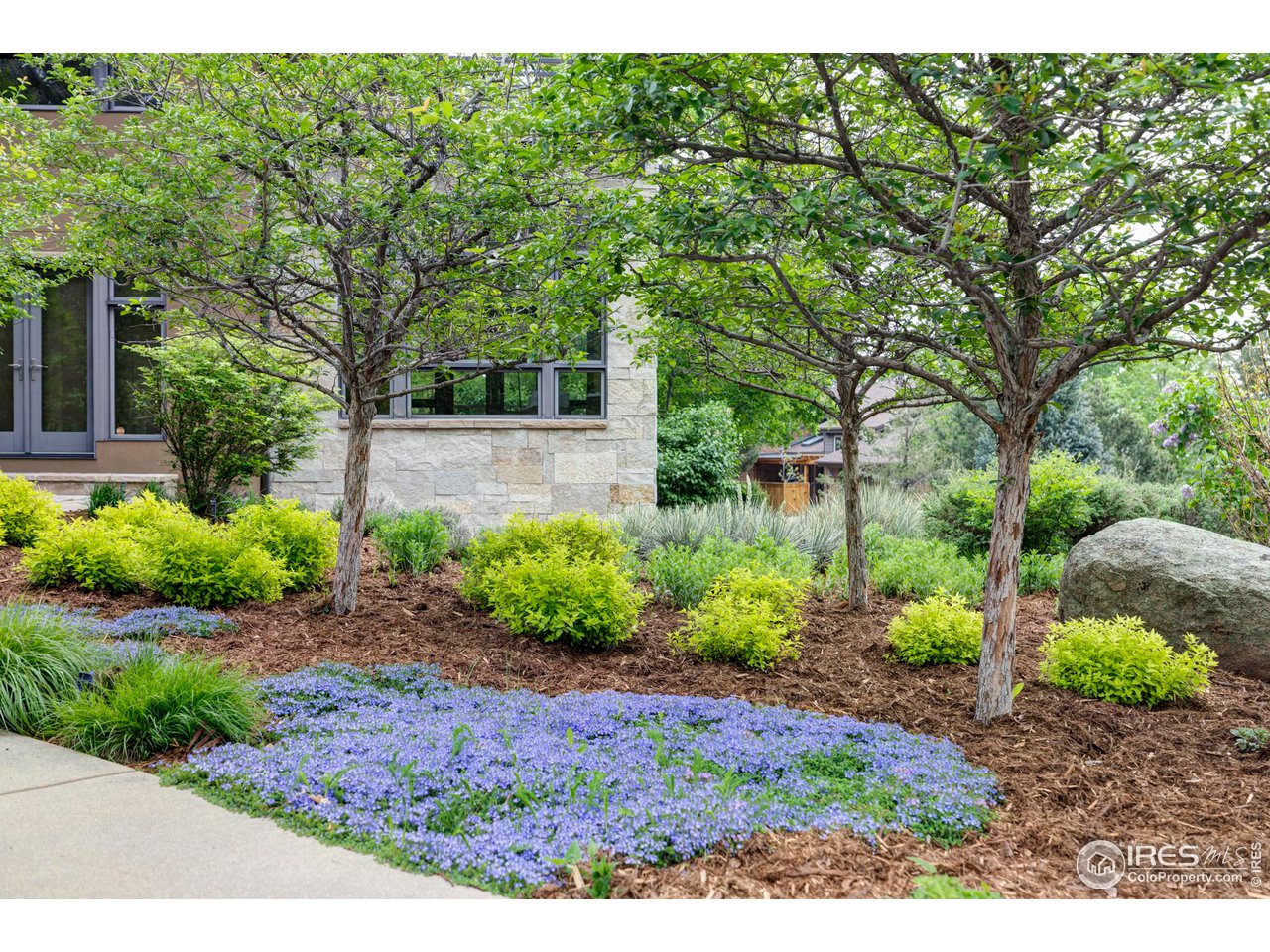 3750 Spring Valley Road Boulder, CO 80304 - Photo 33 of 39 a view of a garden with plants and large trees