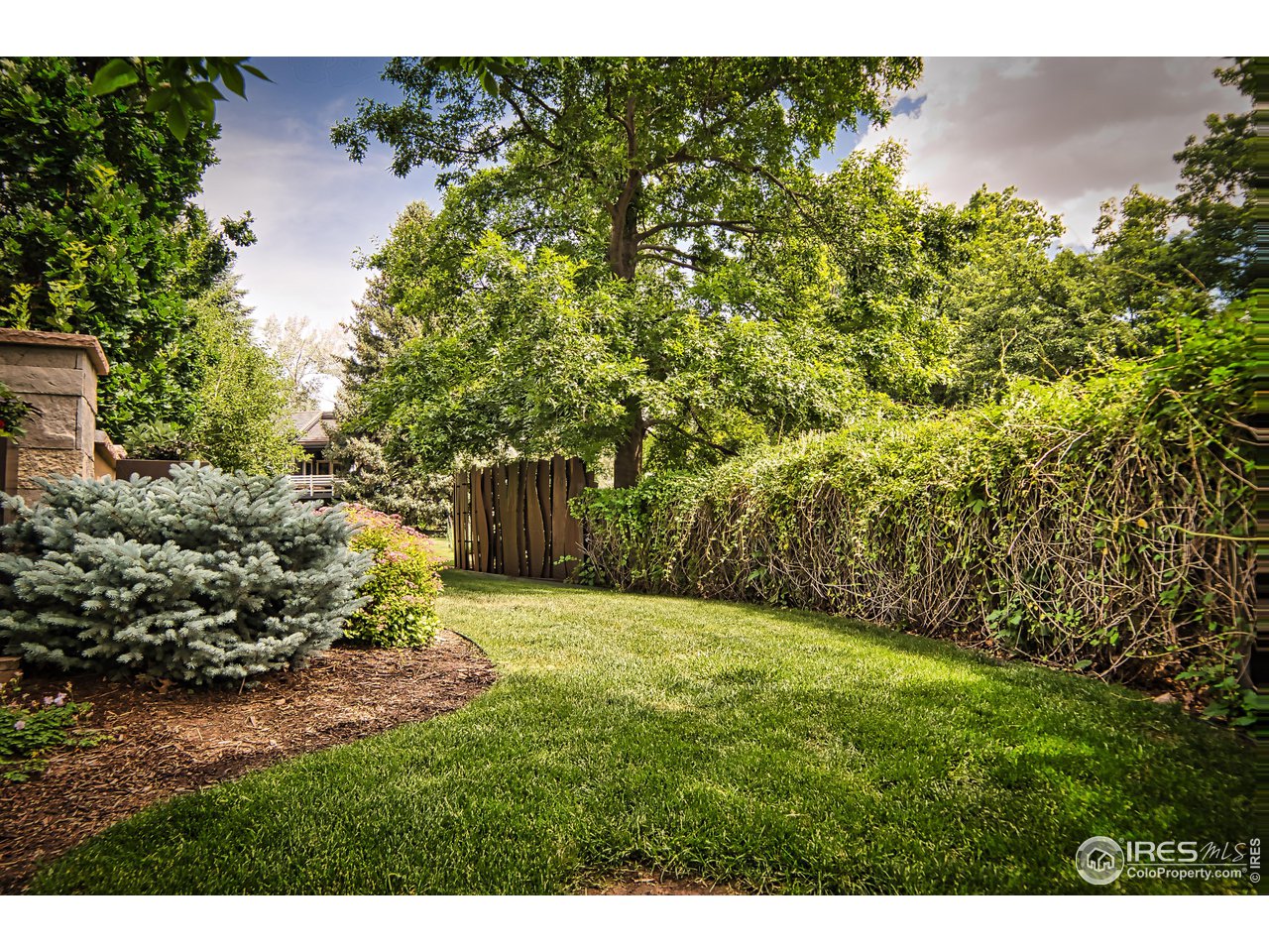 3750 Spring Valley Road Boulder, CO 80304 - Photo 37 of 39 a view of a yard with a tree