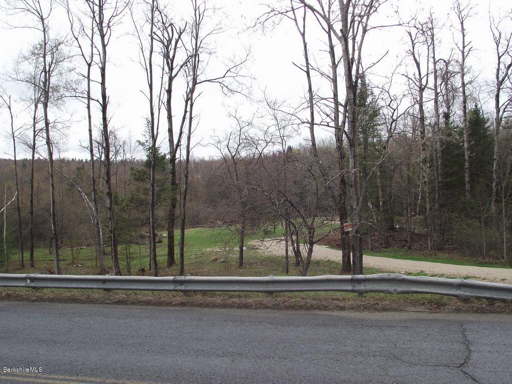 598 Main Rd/rte 116 Savoy, MA 01256 - Photo 1 of 1 view from road of lot