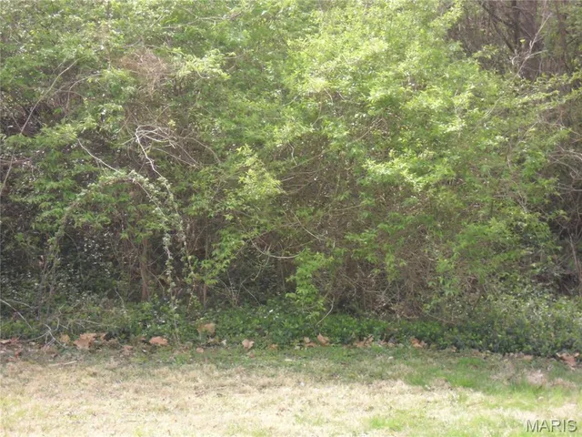 $7,000 | 100 South 98th Street, Belleville, IL 62223