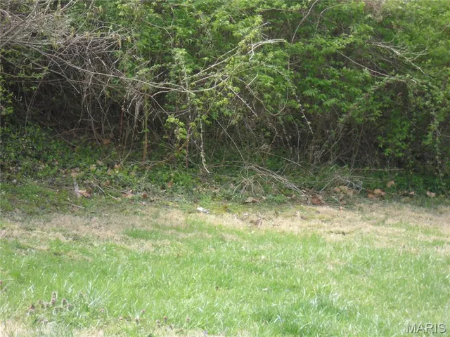 $7,000 | 100 South 98th Street, Belleville, IL 62223