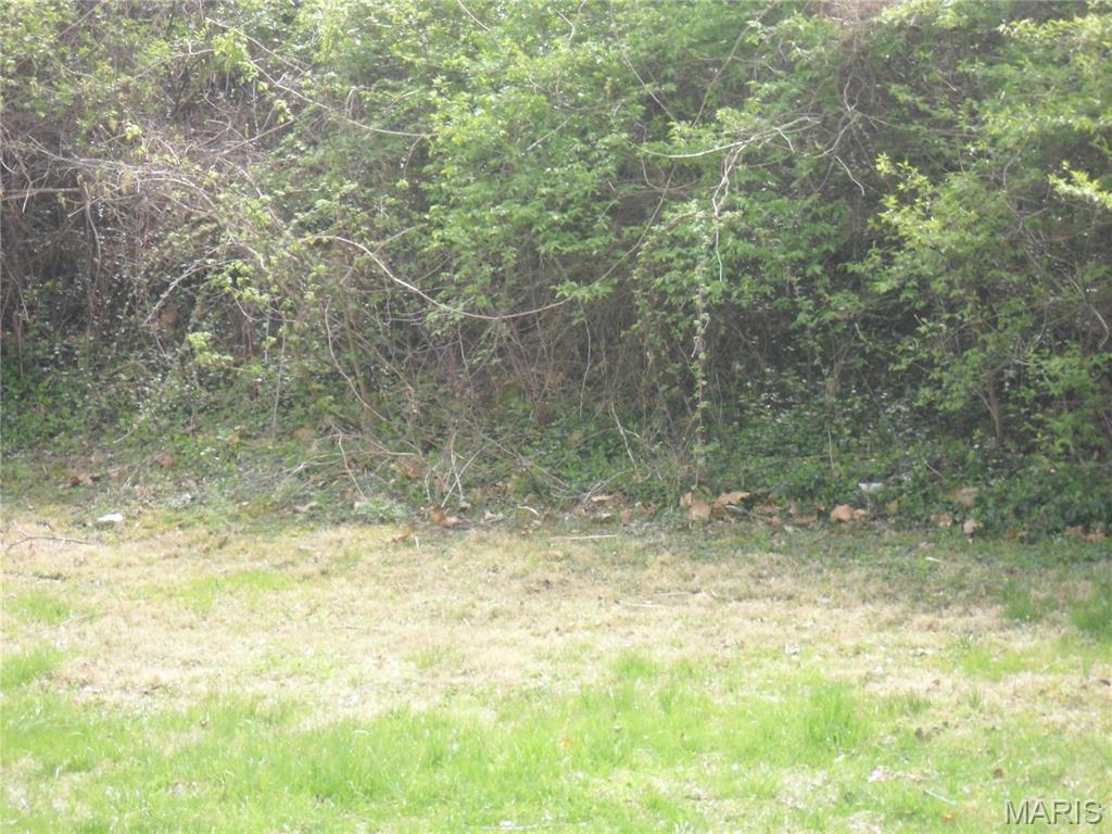 100 South 98th Street Belleville, IL 62223 - Photo 3 of 6