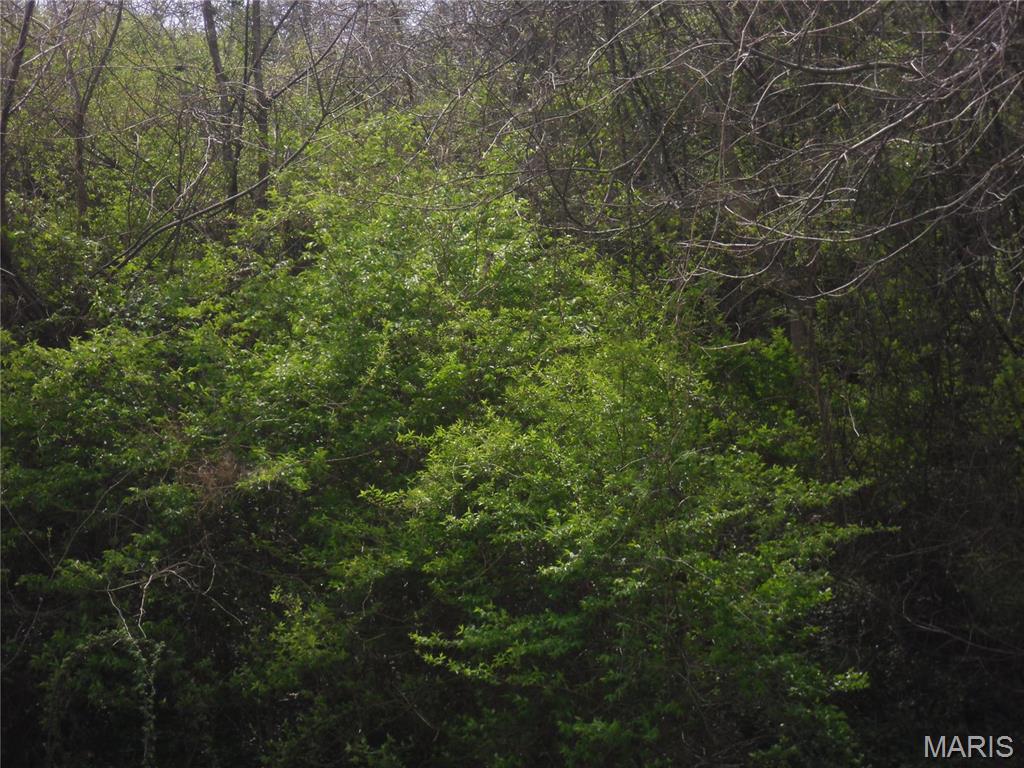 100 South 98th Street Belleville, IL 62223 - Photo 4 of 6