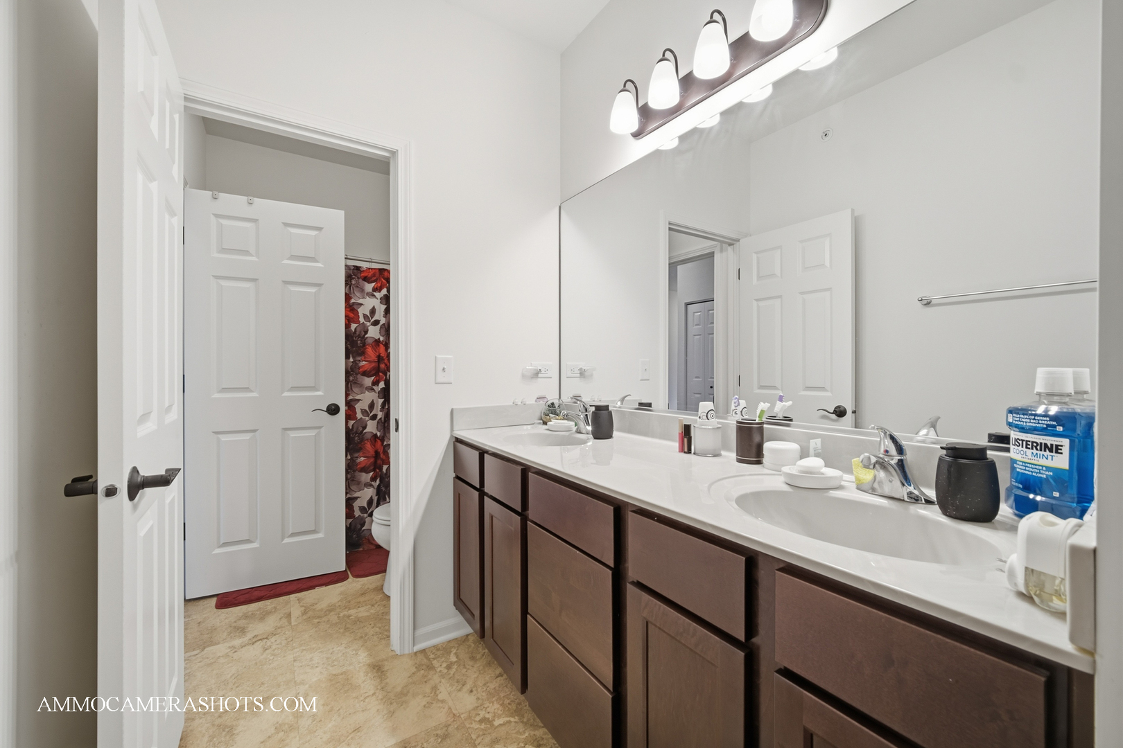1417 Manning Avenue Montgomery, IL 60538 - Photo 17 of 26 a bathroom with a double vanity sink a mirror and shower