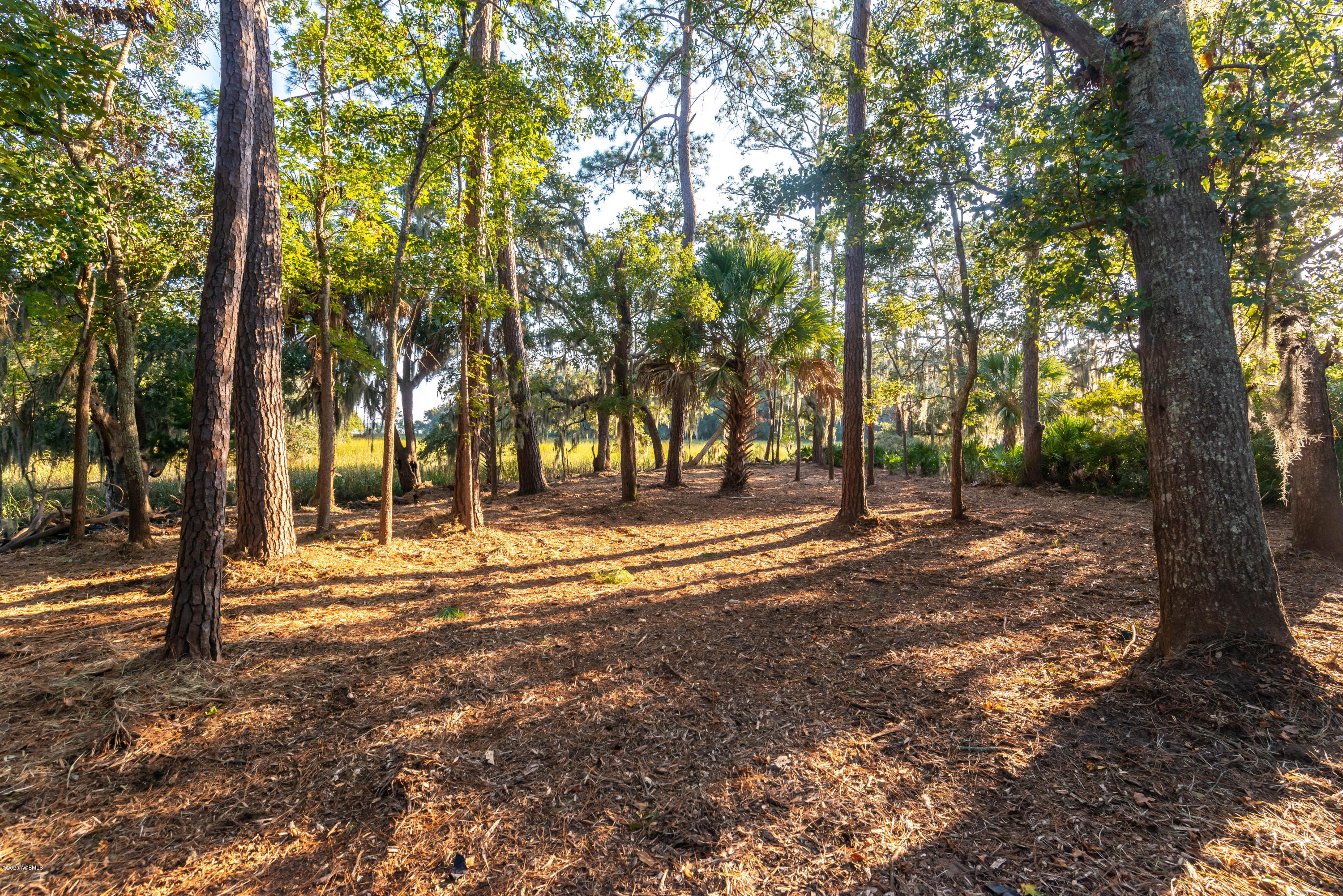 5 Sheridan Road Beaufort, SC 29907 - Photo 14 of 26 DSC_5133