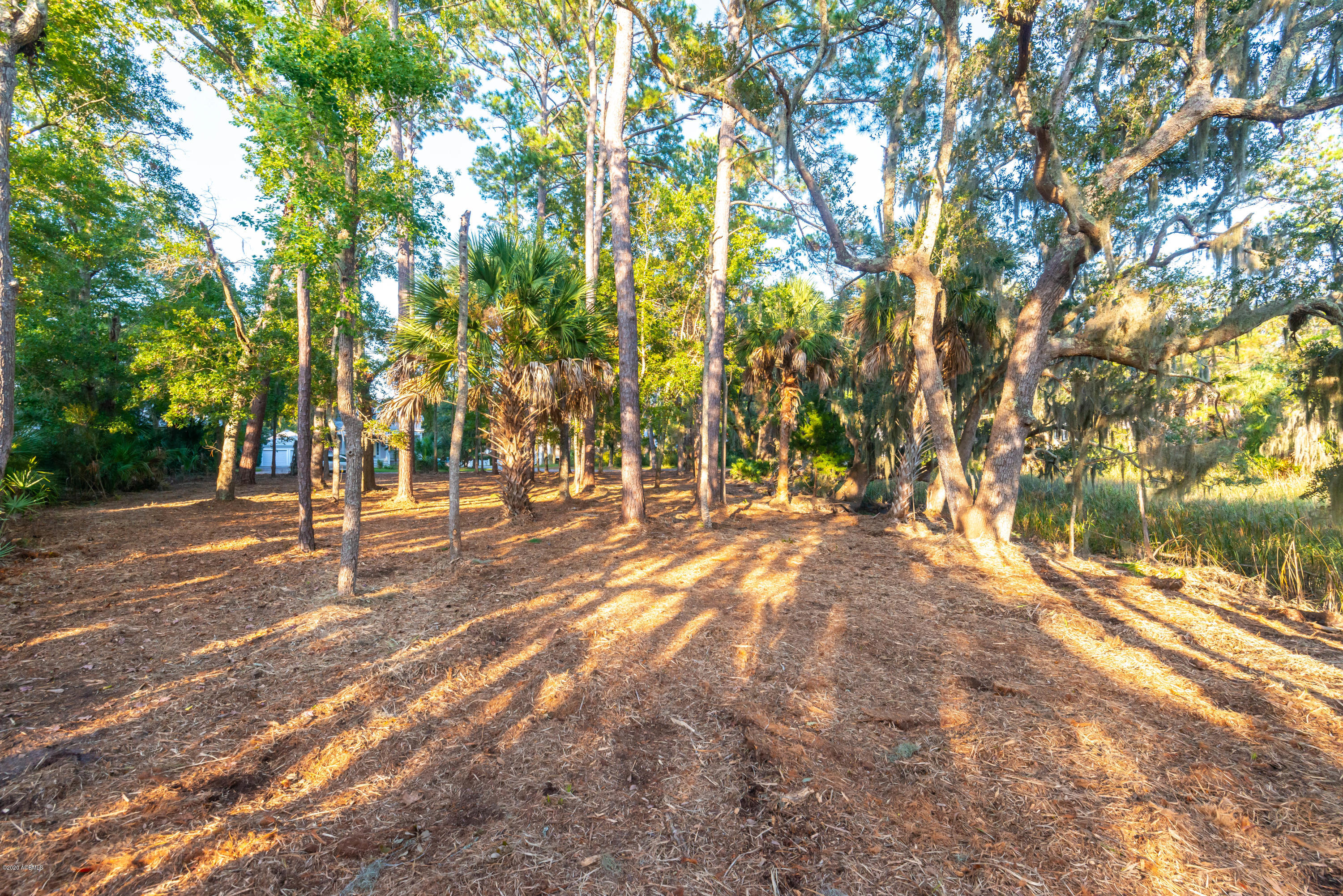 5 Sheridan Road Beaufort, SC 29907 - Photo 10 of 26 DSC_5139
