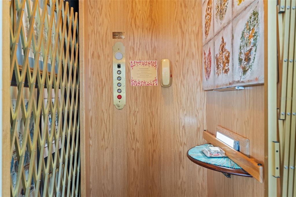 606 Bella Loop, Unit 2 Dunedin, FL 34698 - Photo 49 of 60