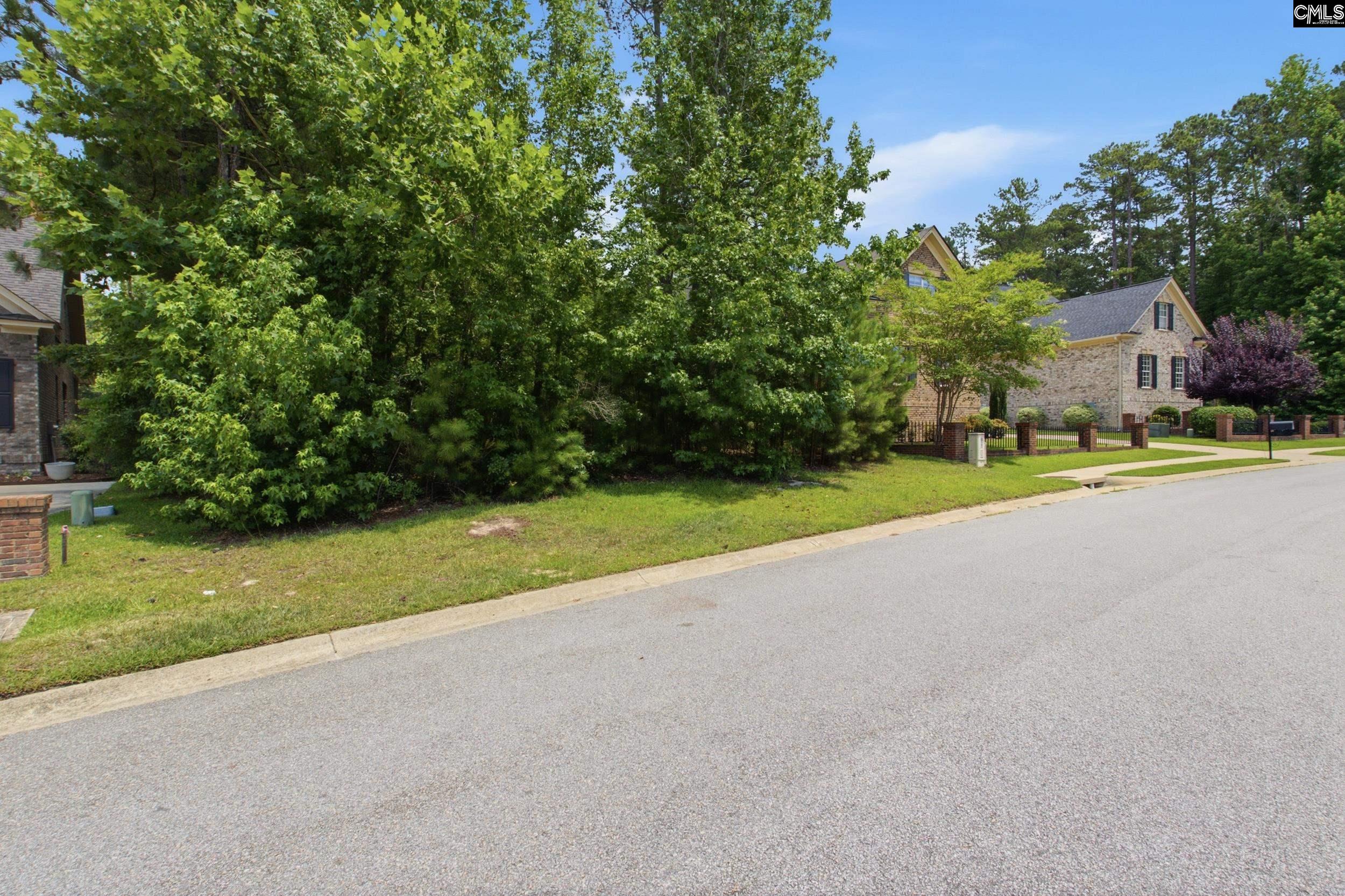 233 Upper Lake Drive Elgin, SC 29045 - Photo 7 of 31 a view of a house with a big yard and large trees