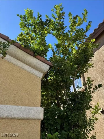 $800,000 | 813 White Falcon Street, Las Vegas, NV 89144