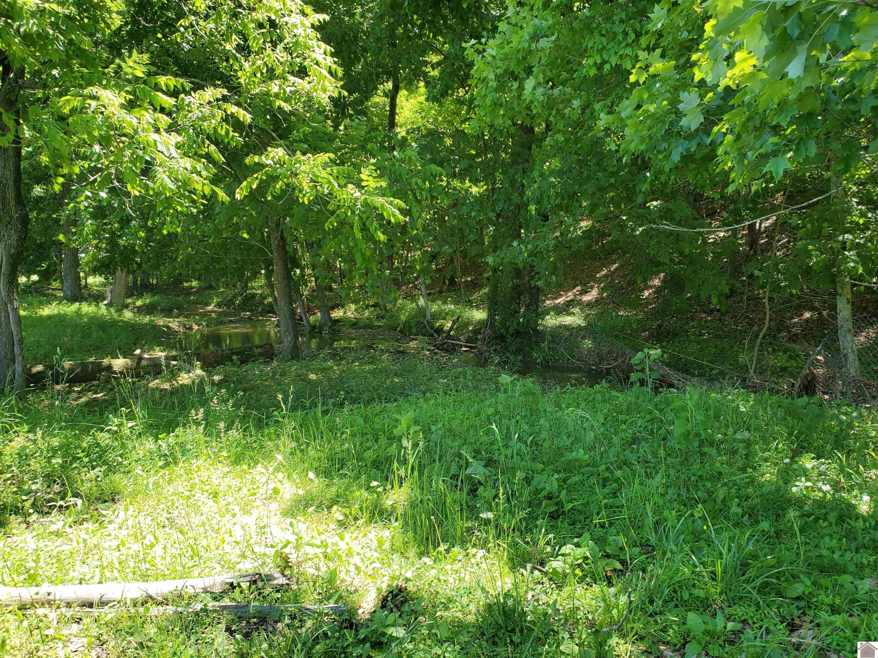 1445 Bethany Church Road Princeton, KY 42445 - Photo 5 of 5 Photo 5
