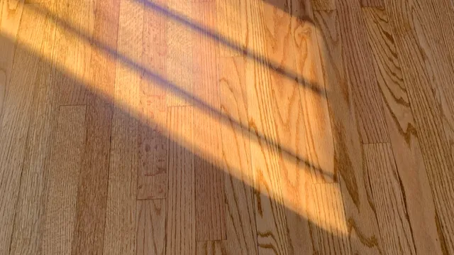 $2,000 | 2513 18th Avenue, Broadview, IL 60155