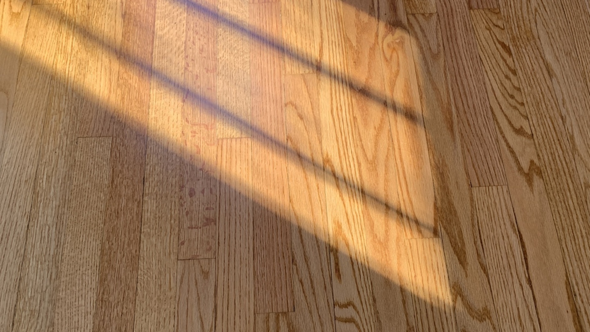 2513 18th Avenue Broadview, IL 60155 - Photo 17 of 17