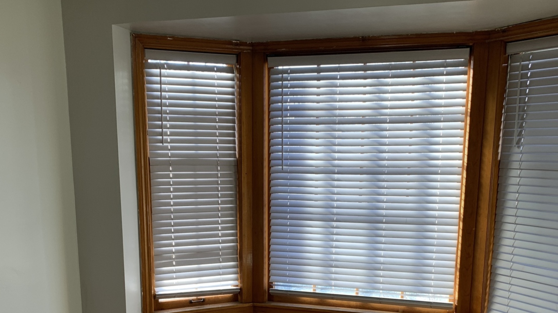 2513 18th Avenue Broadview, IL 60155 - Photo 4 of 17