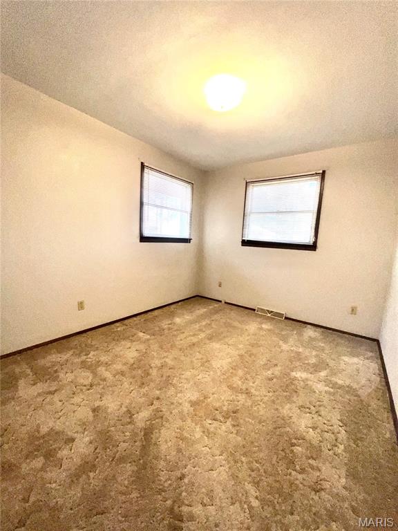 707 South Library Street Waterloo, IL 62298 - Photo 11 of 25