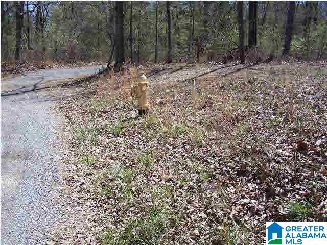 0 Homestead Lane Remlap, AL 35133 - Photo 7 of 23