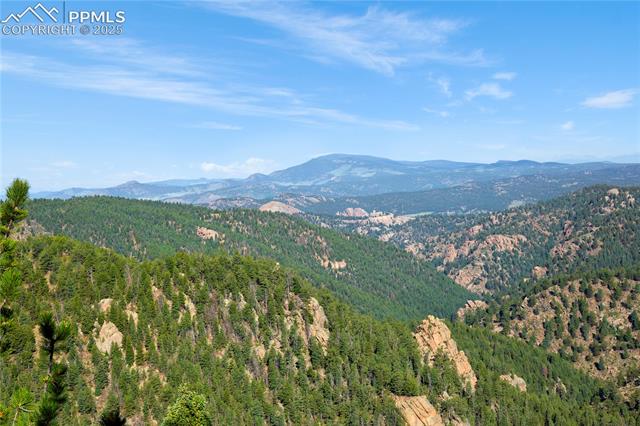 337 Blue Spruce Road Divide, CO 80814 - Photo 4 of 39 View from Rear Deck