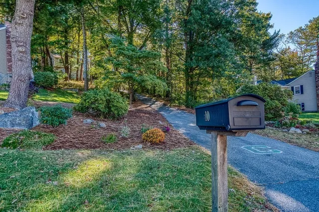 a view of backyard with green space