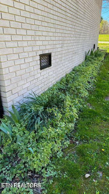 2315 Pine Grove Road Winfield, TN 37892 - Photo 11 of 30 20250417183012477869000000-o