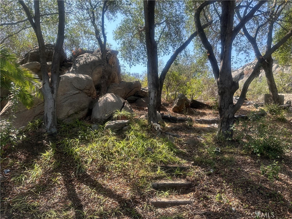 4747 Oak Crest Road, Unit 88 Fallbrook, CA 92028 - Photo 9 of 9