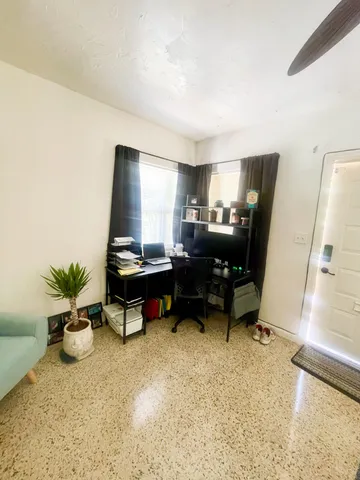 a living room with furniture and a potted plant