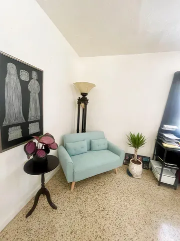 a living room with furniture and a potted plant