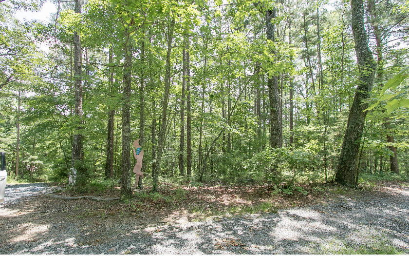 Lot57 Lot57 Doyle Carder Parkway Blue Ridge, GA 30513 - Photo 1 of 1 Main View