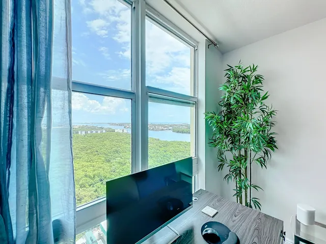 a room with furniture and a potted plant