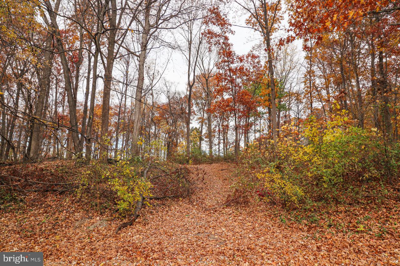 202 Friends Road Nottingham, PA 19362 - Photo 2 of 9