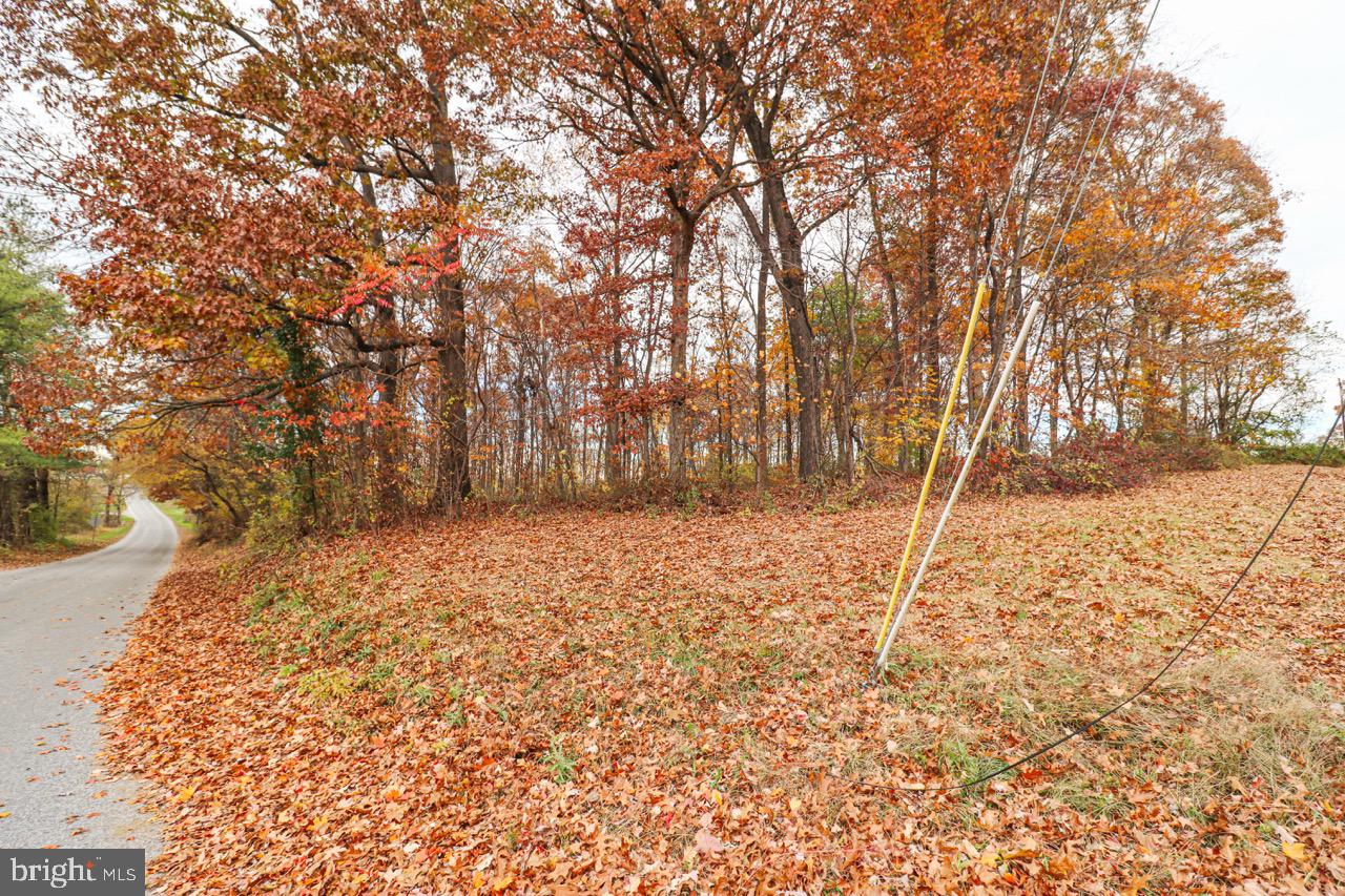 202 Friends Road Nottingham, PA 19362 - Photo 4 of 9 a view of a yard with trees