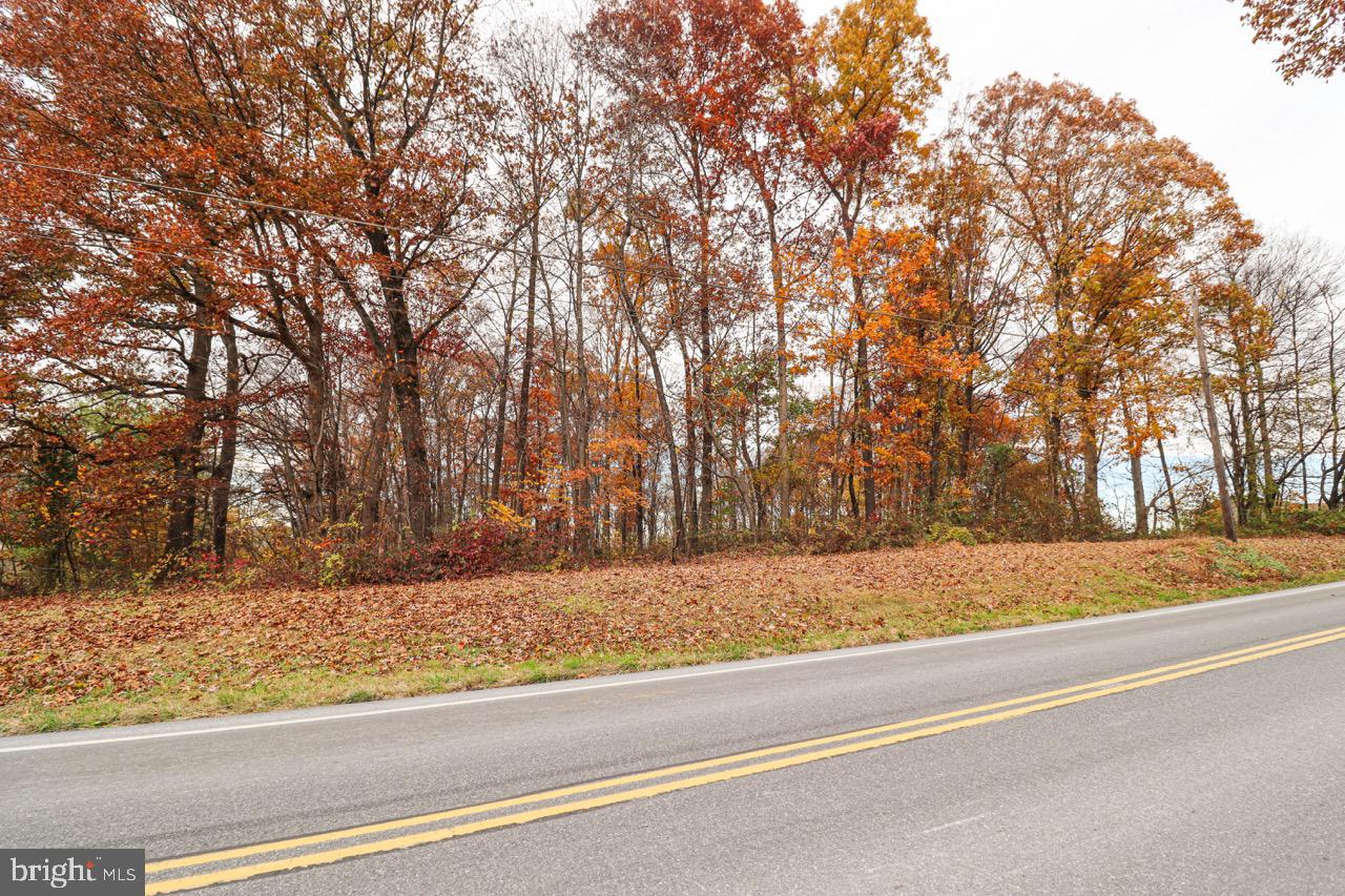202 Friends Road Nottingham, PA 19362 - Photo 5 of 9 a view of a yard with a trees