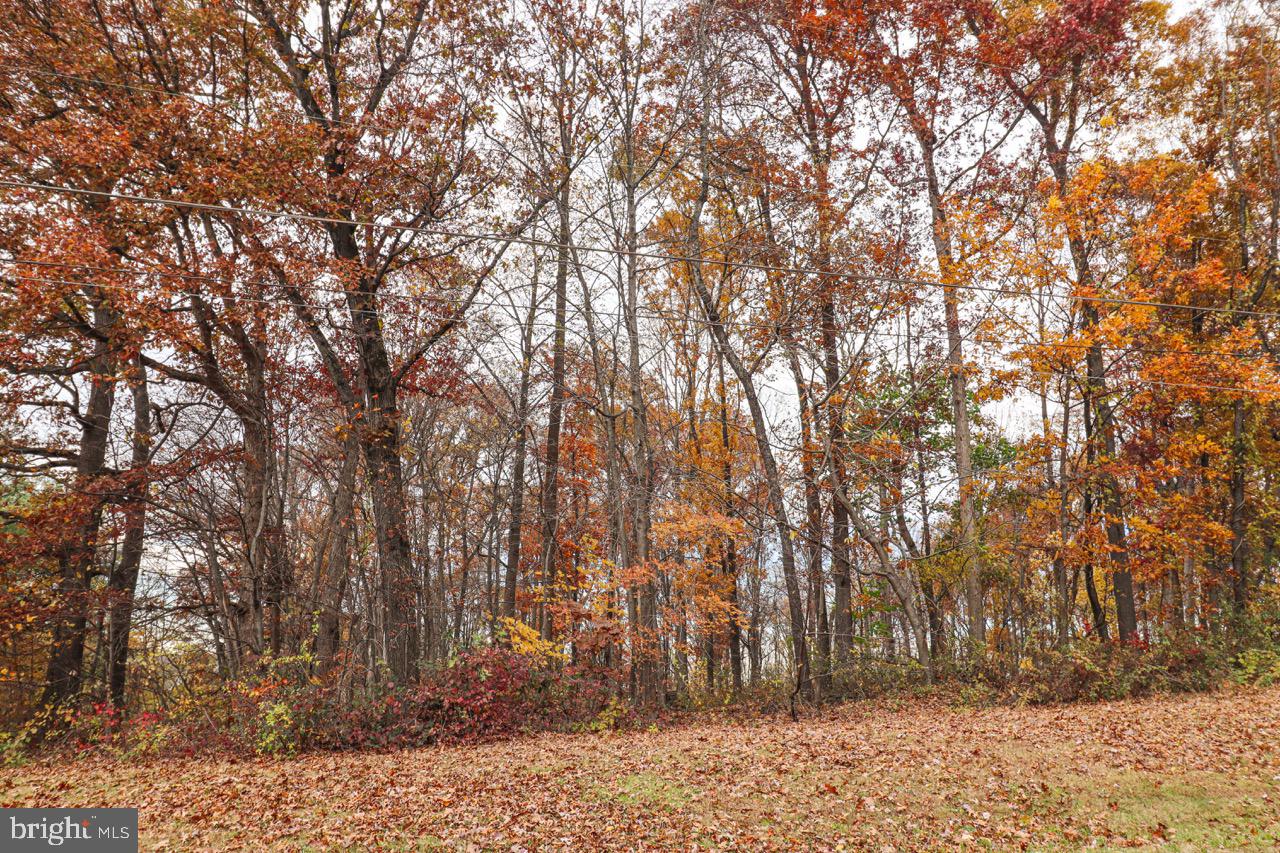 202 Friends Road Nottingham, PA 19362 - Photo 6 of 9 a backyard of a house