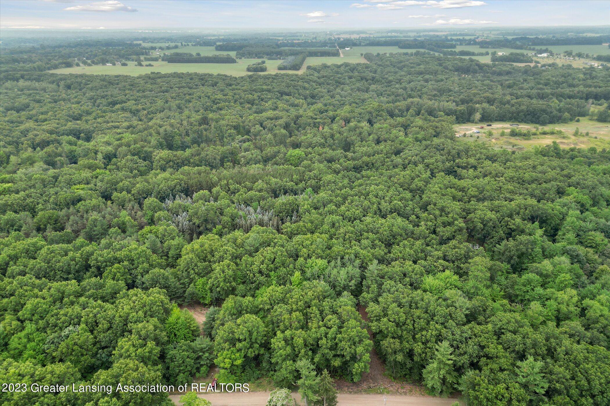 0 McKenna Road Hubbardston, MI 48845 - Photo 11 of 11 08-0-McKenna-Hubbarston-MI-48845-WindowS