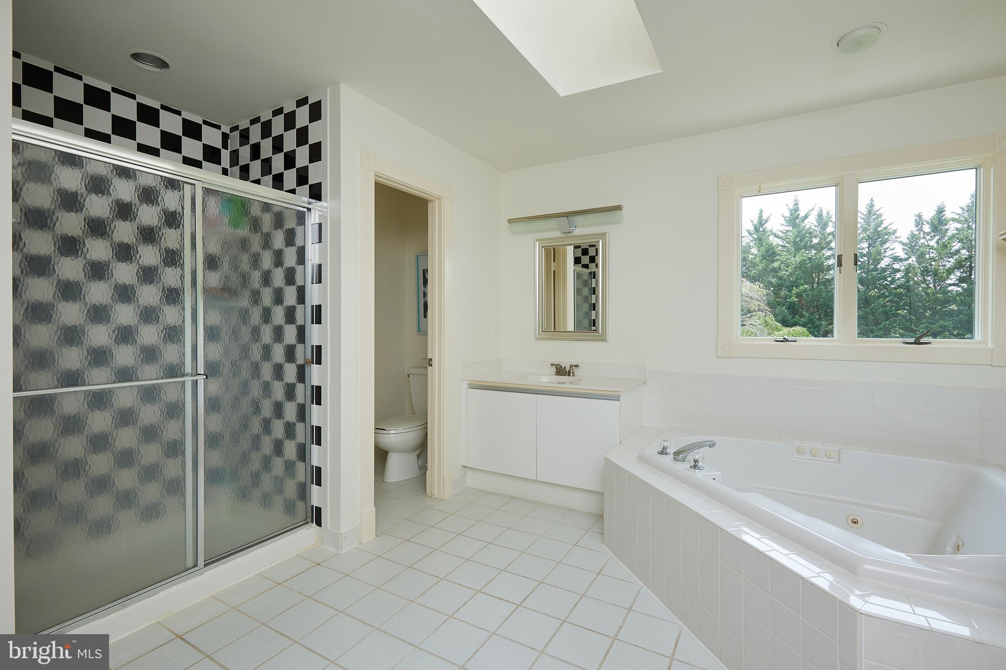 19100 Barnesville Road Barnesville, MD 20838 - Photo 22 of 70 Owner's suite bathroom with shower and tub