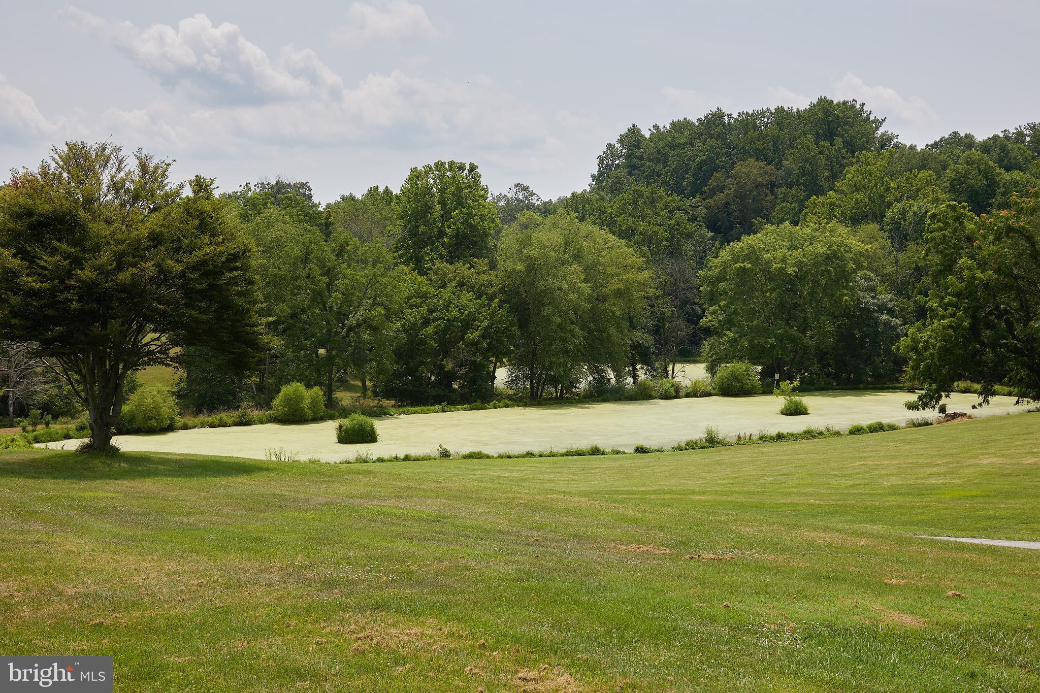 19100 Barnesville Road Barnesville, MD 20838 - Photo 62 of 70 Two ponds on property