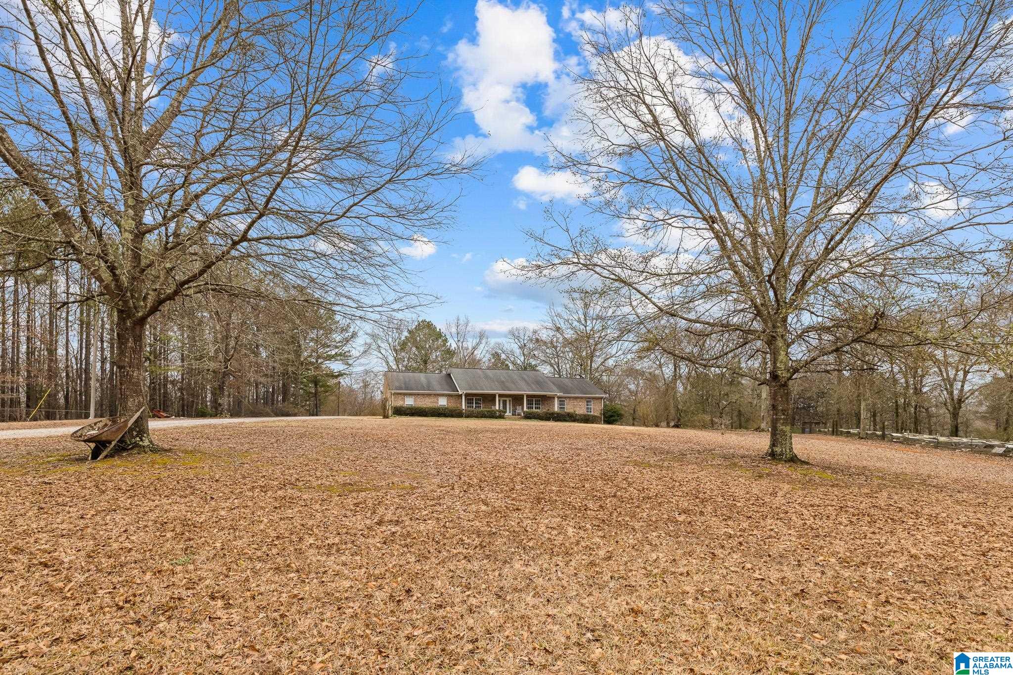 814 Deer Trace Road Pell City, AL 35125 - Photo 36 of 40