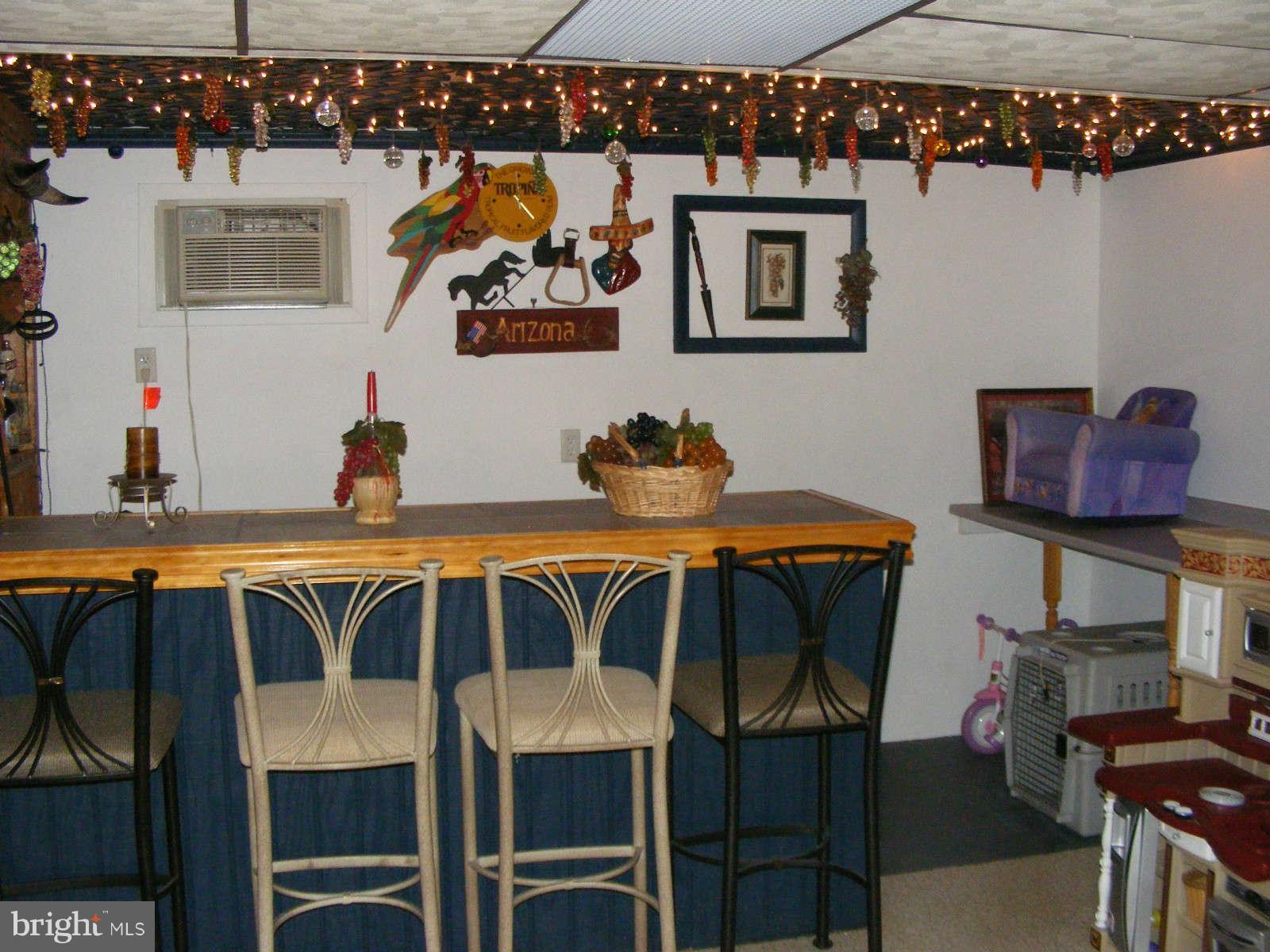 144 Cowan Road Port Deposit, MD 21904 - Photo 16 of 23 Dry Bar in Rec Room