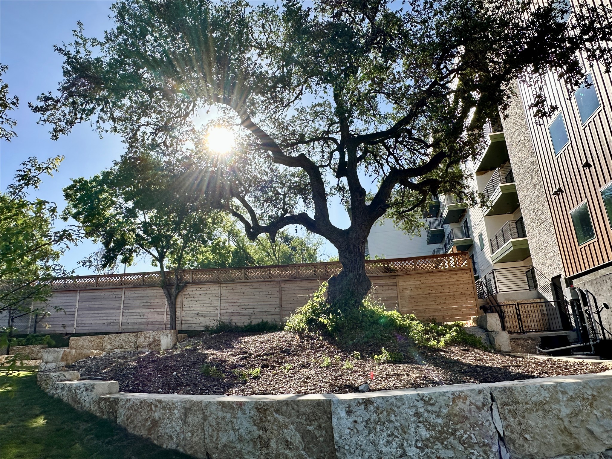 4802 South Congress Avenue, Unit 310 Austin, TX 78745 - Photo 32 of 37