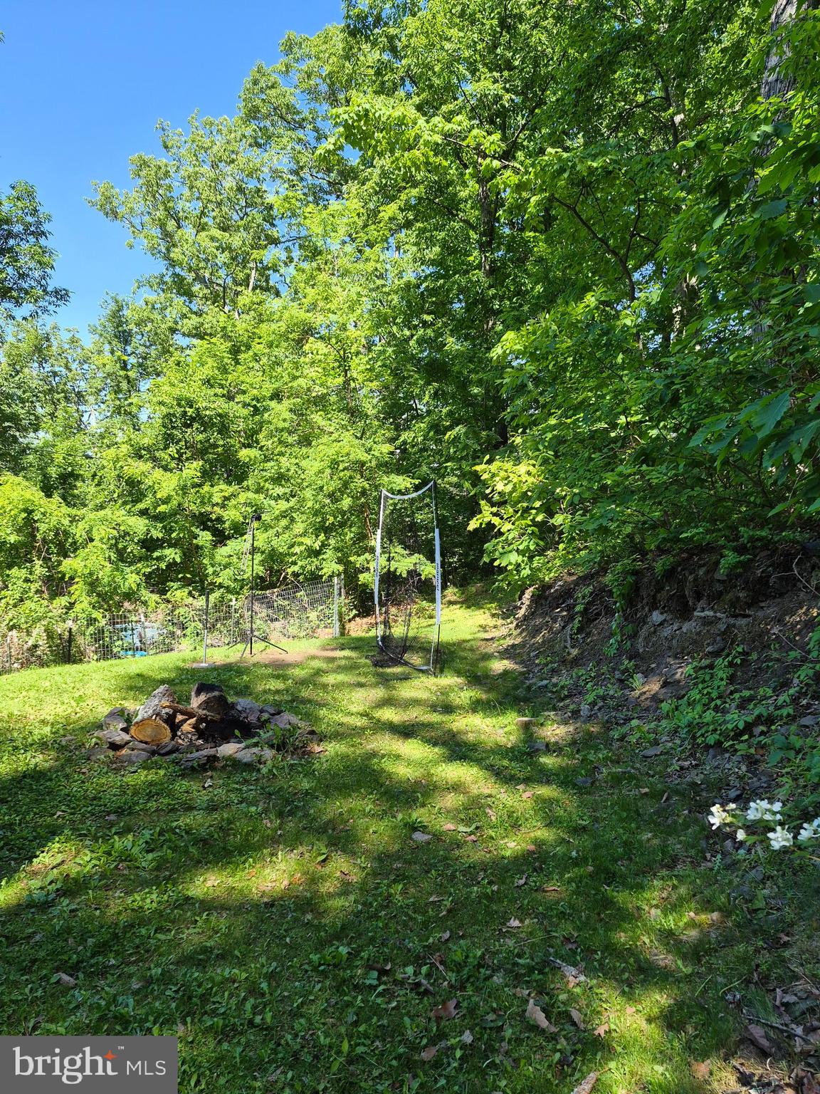 1440 Drummer Hill Road Front Royal, VA 22630 - Photo 8 of 42 a big yard with lots of green space and deers
