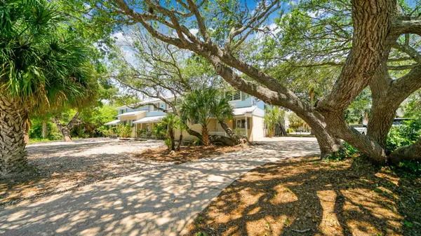 a view of a yard with plants and trees