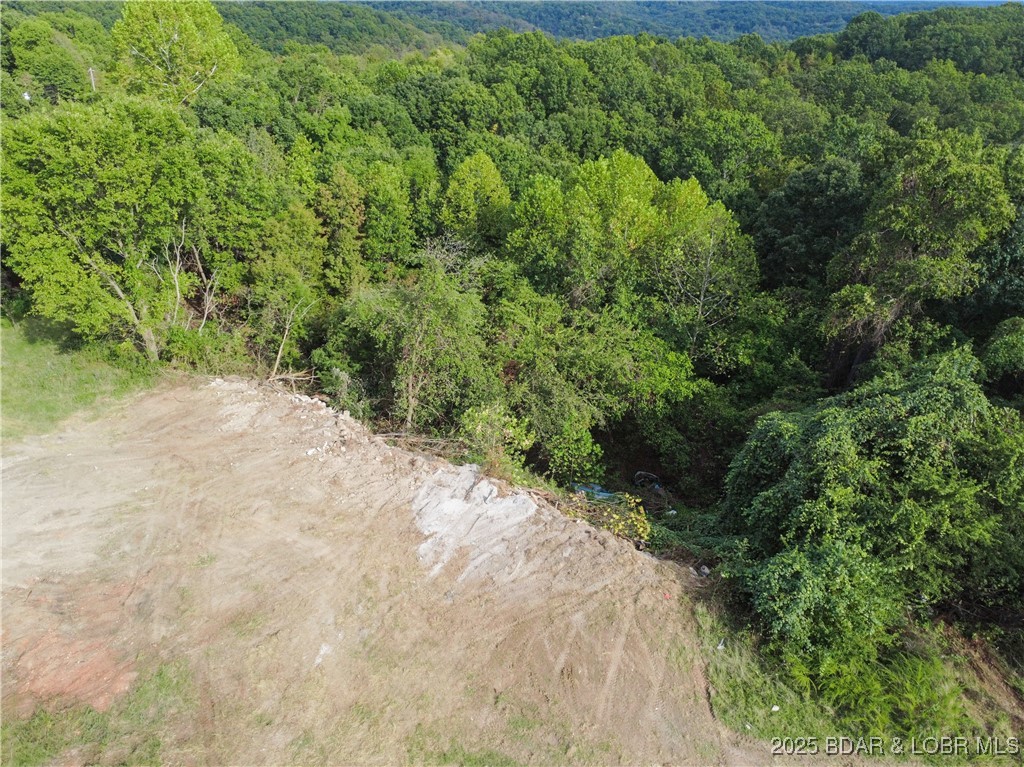 746 Velvet Antler Road Camdenton, MO 65020 - Photo 23 of 54 Towards the Back of the of the Property towards th